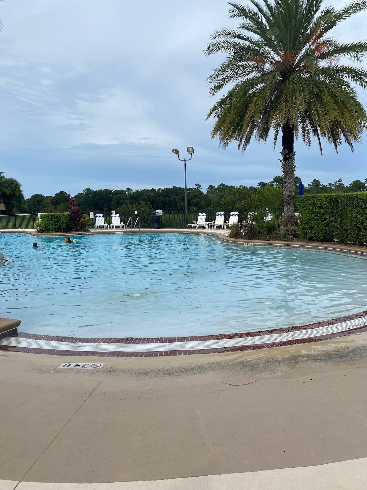 A community pool is surrounded by lush greenery and palm trees, offering a spacious area for relaxation. Several lounge chairs line the pool's edge, while the calm water reflects the sky. The scene provides a serene setting for guests to enjoy leisure activities.