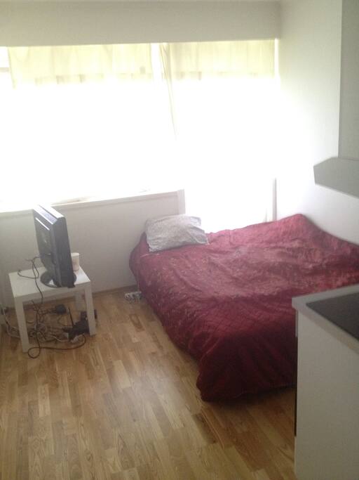 Living room/sleep area