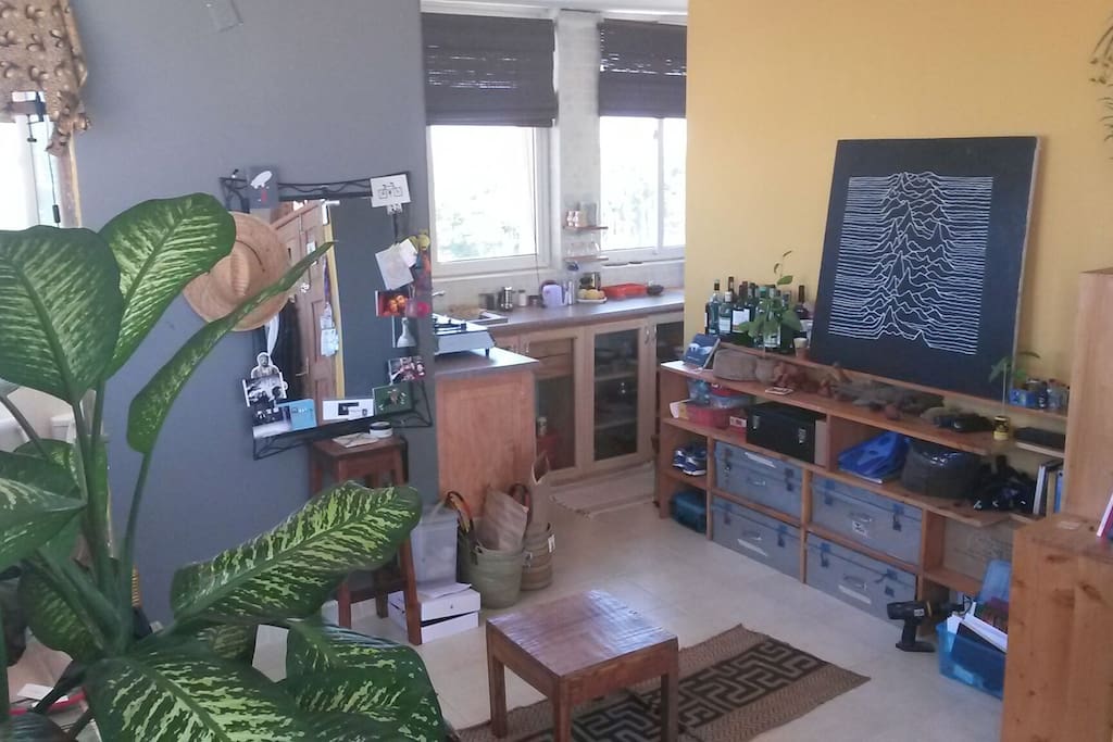 Kitchen, and Joy Division
