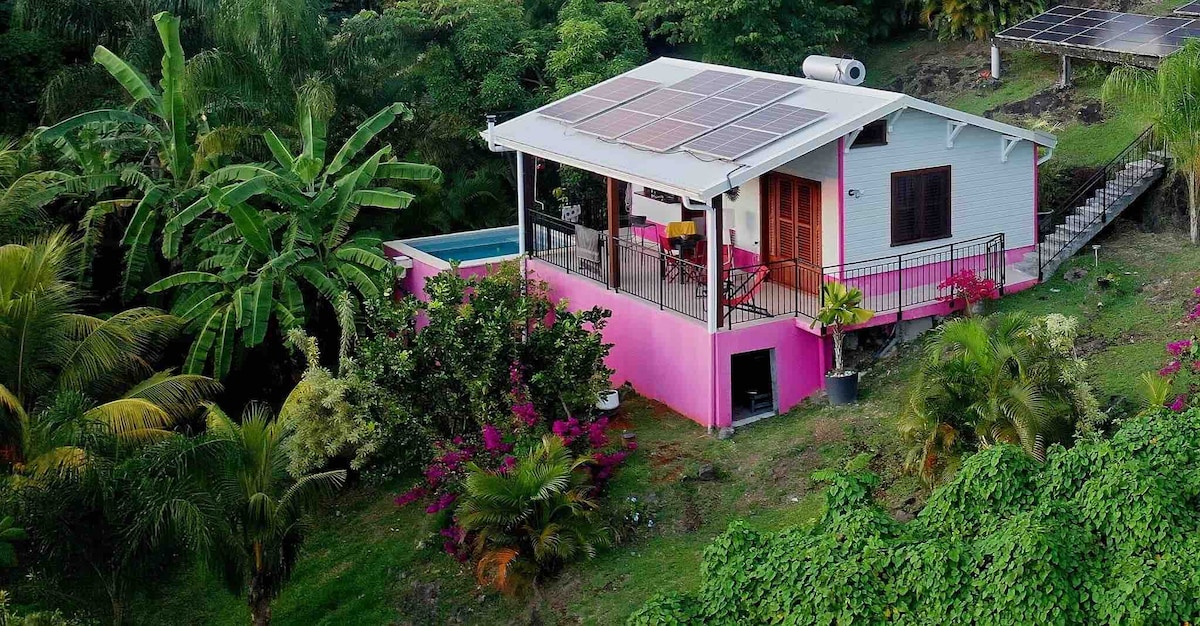 The villa is positioned on a lush hillside, surrounded by tropical vegetation and vibrant flowers. A private pool can be seen extending from the terrace, which is accented by outdoor seating. Solar panels are installed on the sloped roof, integrating sustainability within the serene landscape.