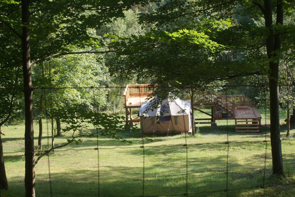If you click on the picture it will open up and gives you a great view of the tree house.