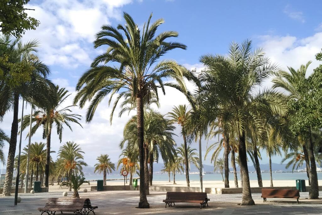 La playa al cruzar la calle! The beach just in front!