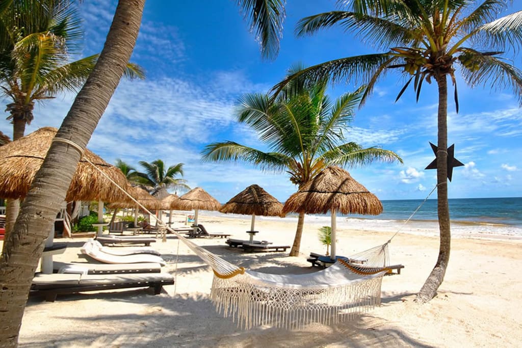Relax at a Beach Club and Swim in the Clear Blue Caribean Ocean