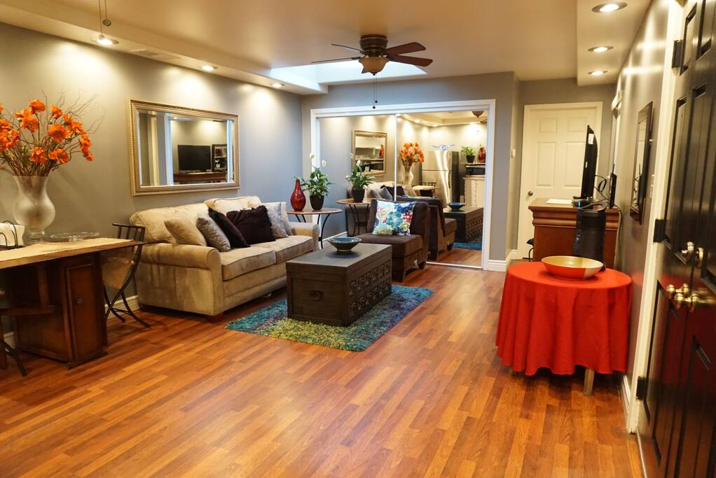 spacious living room area, sofa bed. large closet and tv.