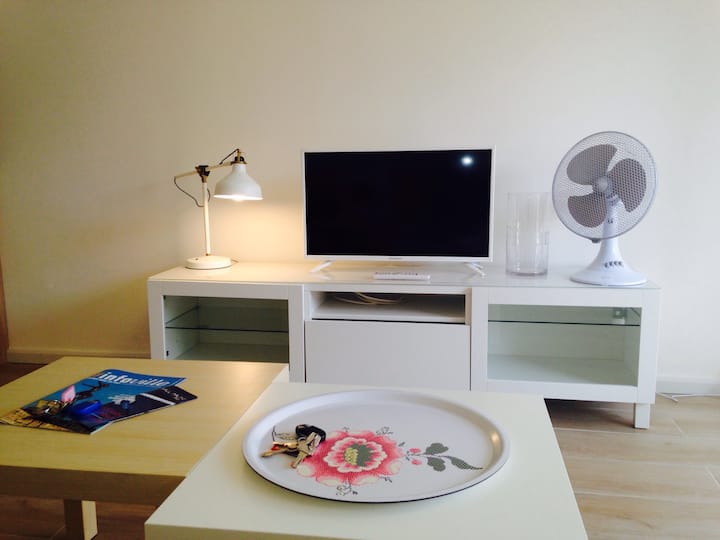 Saluni, runinga ya sarafu