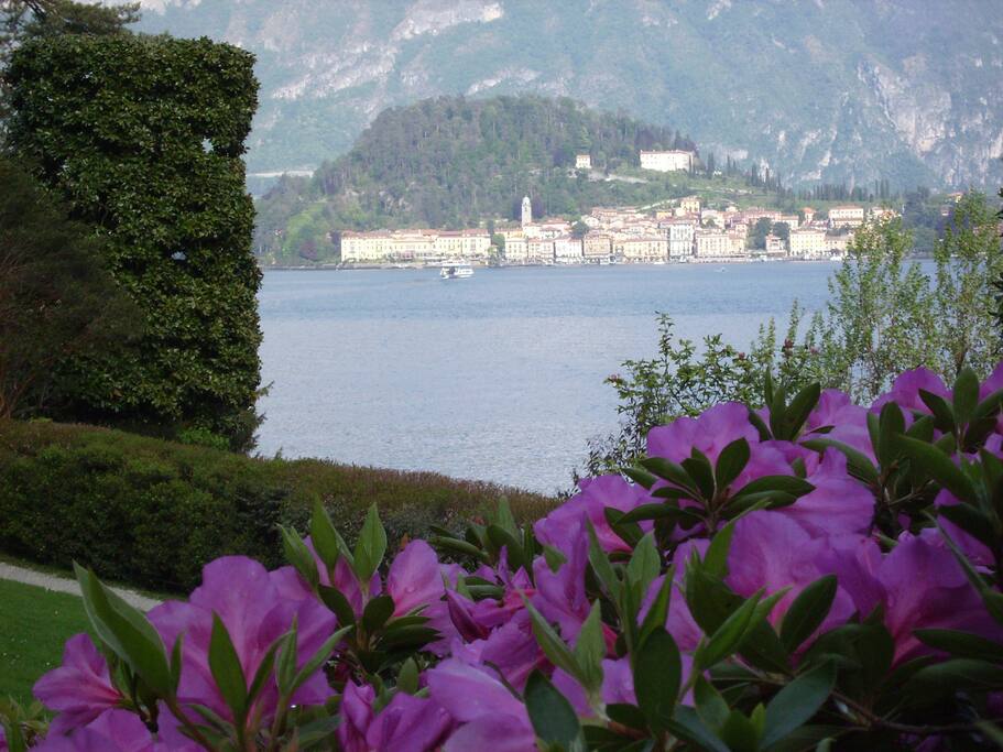 Bellagio view.