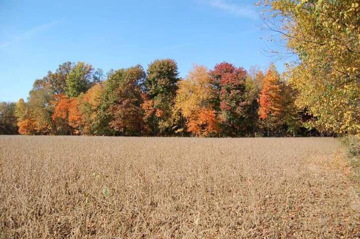 Hunting Lodge and Property