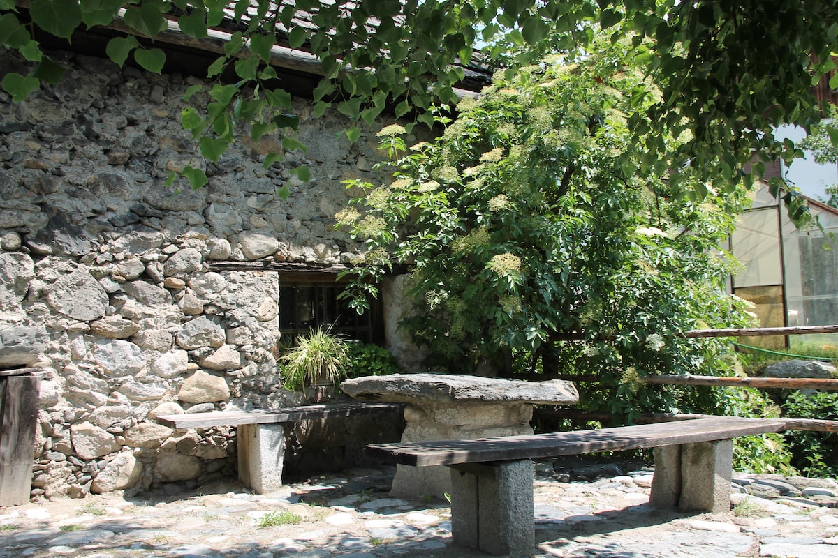 A rustic outdoor seating area features a stone table supported by sturdy pillars, surrounded by natural stone flooring. Lush greenery and shrubs provide shade and a tranquil setting, with the texture of the stone building visible in the background under bright daylight.