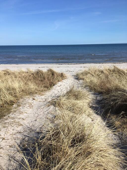 Så har vi gået 50 meter - og vi er ved stranden