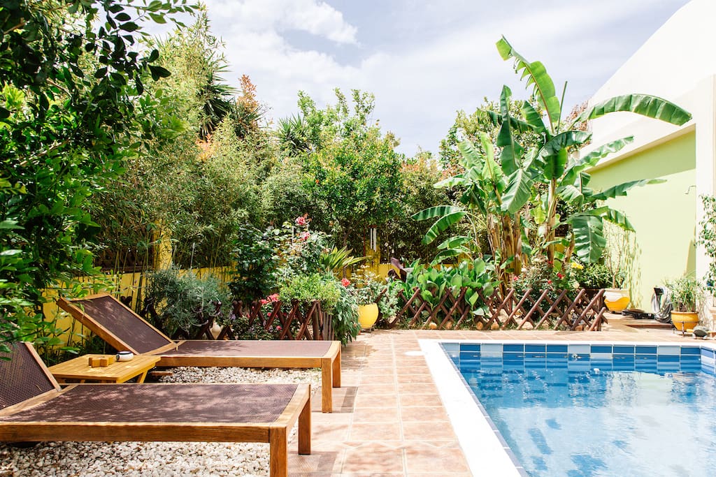 The swimming pool & the garden as seen from the veranda.