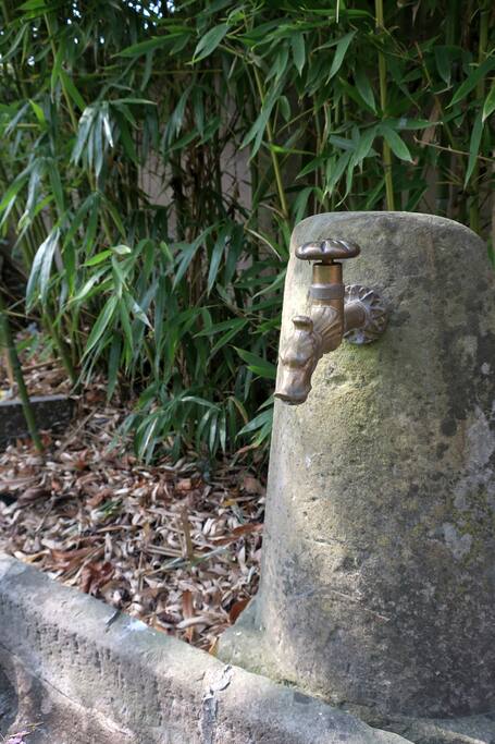 La fontaine