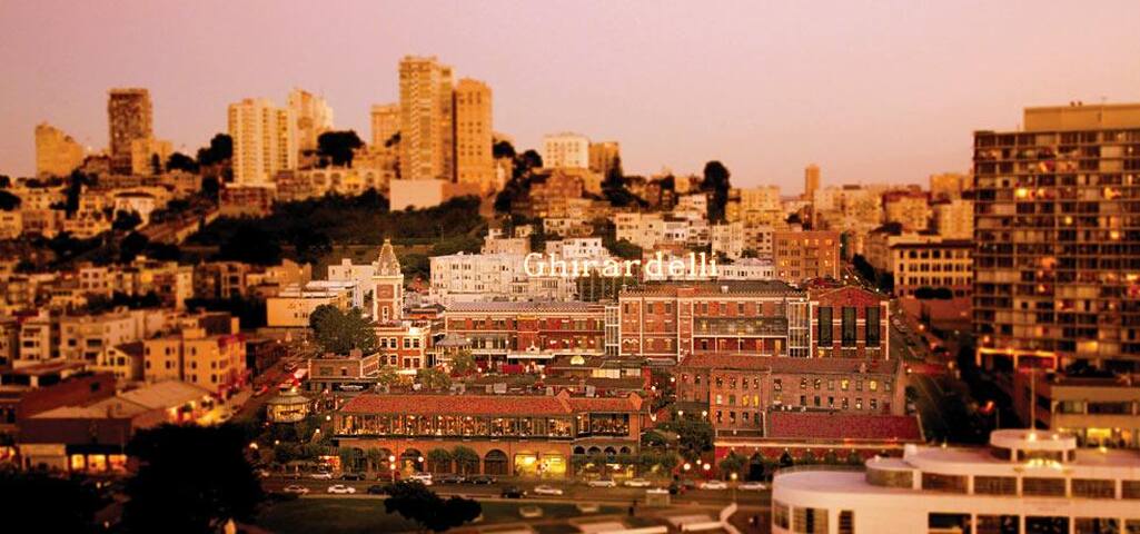 Luxurious SF condo gallery image 2