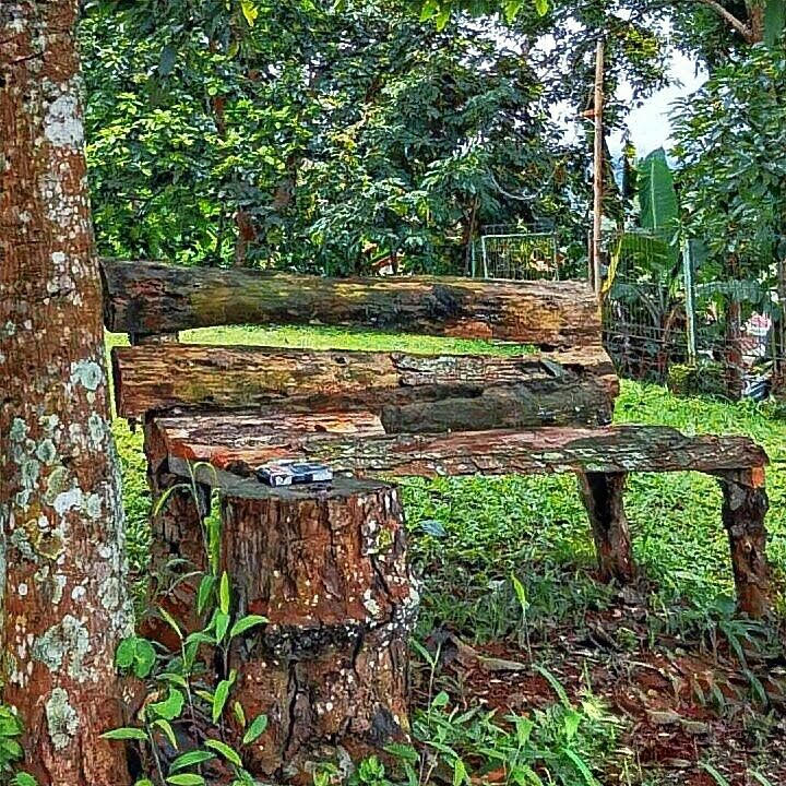 A rustic wooden bench carved from tree logs is set in a lush green garden. It is surrounded by vibrant foliage and natural beauty, inviting moments of relaxation in the open air.