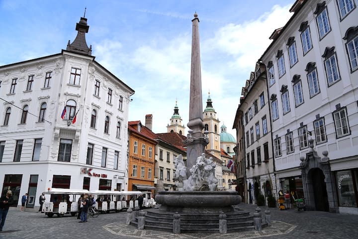 Ljubljana Center- old city center