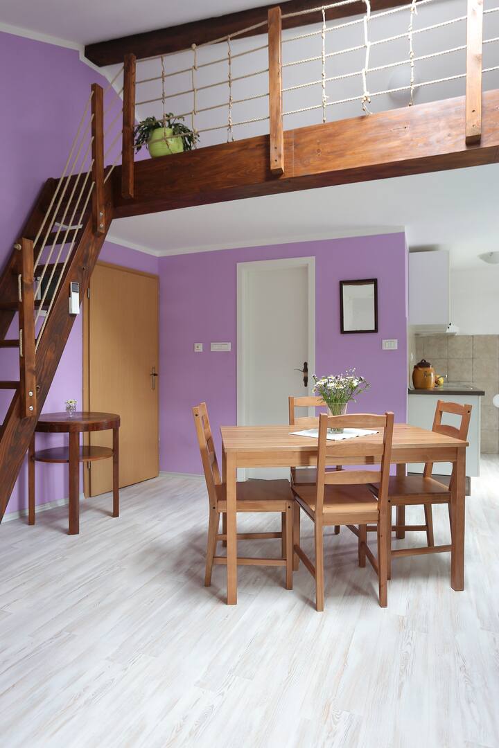 The Soča House Tolmin - flat 2