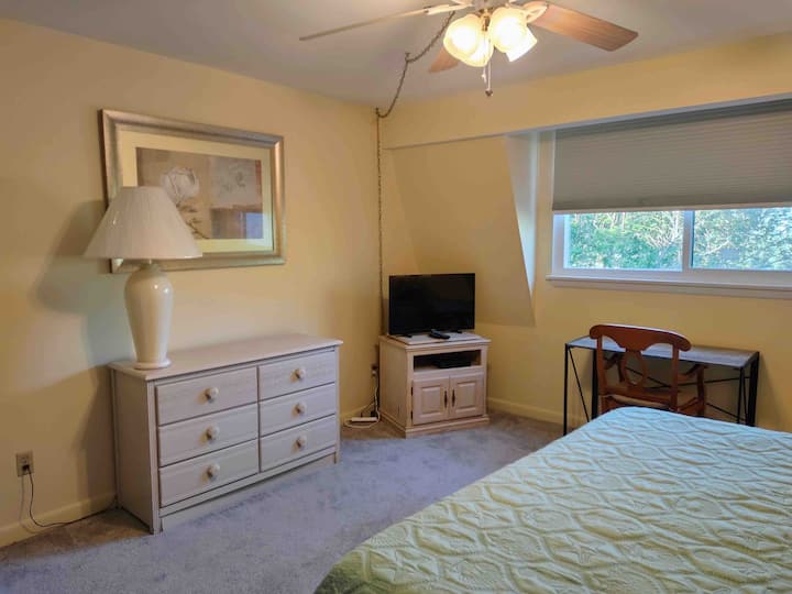 Მასტერ-საძინებელი ტელევიზორითა და მაგიდით