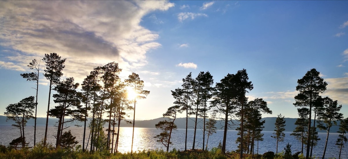 Tall trees stand along the water's edge, their silhouettes outlined by the setting sun. Soft light reflects off the calm water, creating a serene evening atmosphere. A backdrop of rolling hills can be seen in the distance beneath a partly cloudy sky.