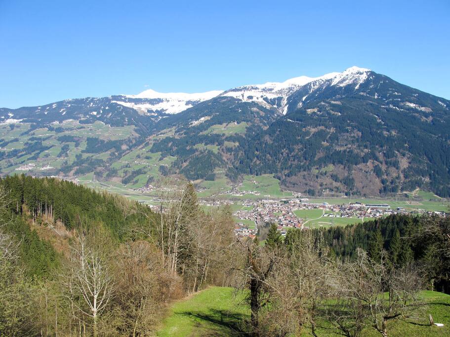 Blick