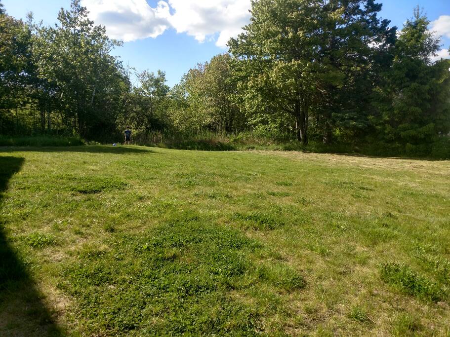 Nice, big back yard