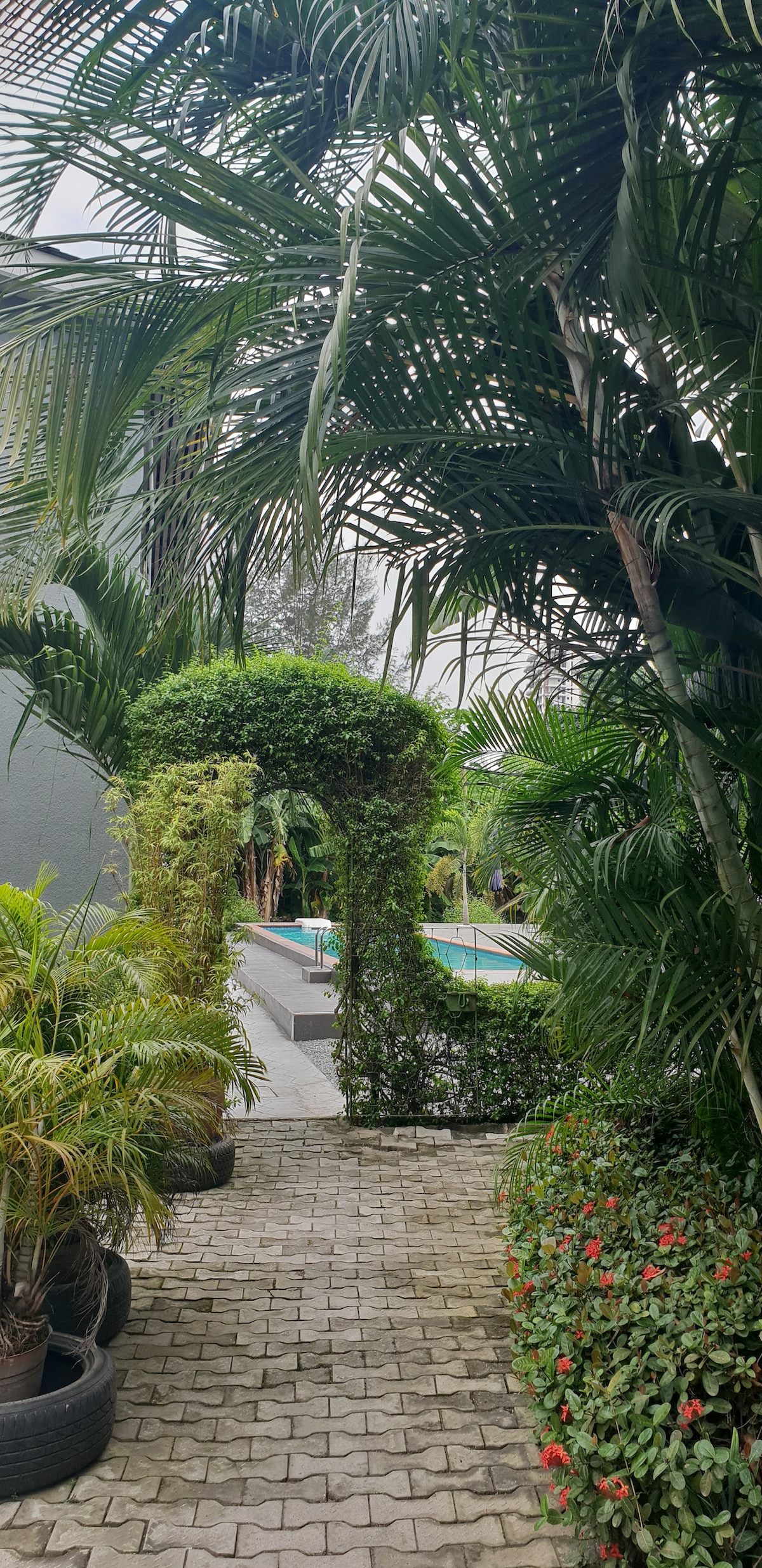 A pathway lined with lush tropical plants leads to a serene swimming pool, partially visible in the background. The cobblestone walkway is bordered by vibrant greenery and decorative shrubs, creating a peaceful and inviting ambiance.