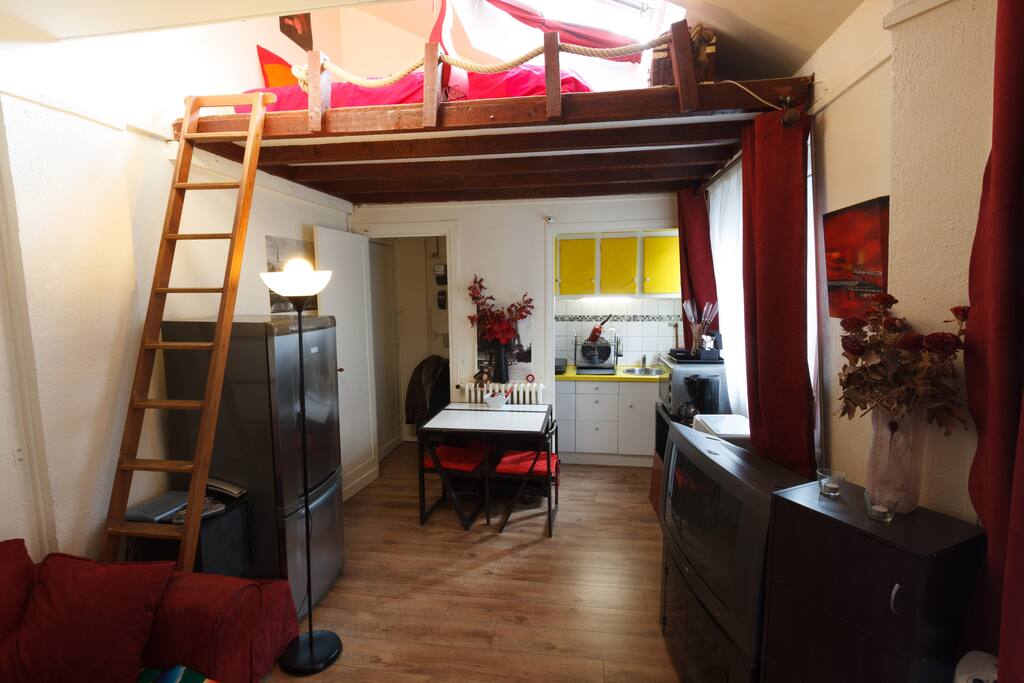 One room apartment with Mezzanine Lofts for Rent in Paris, Îlede