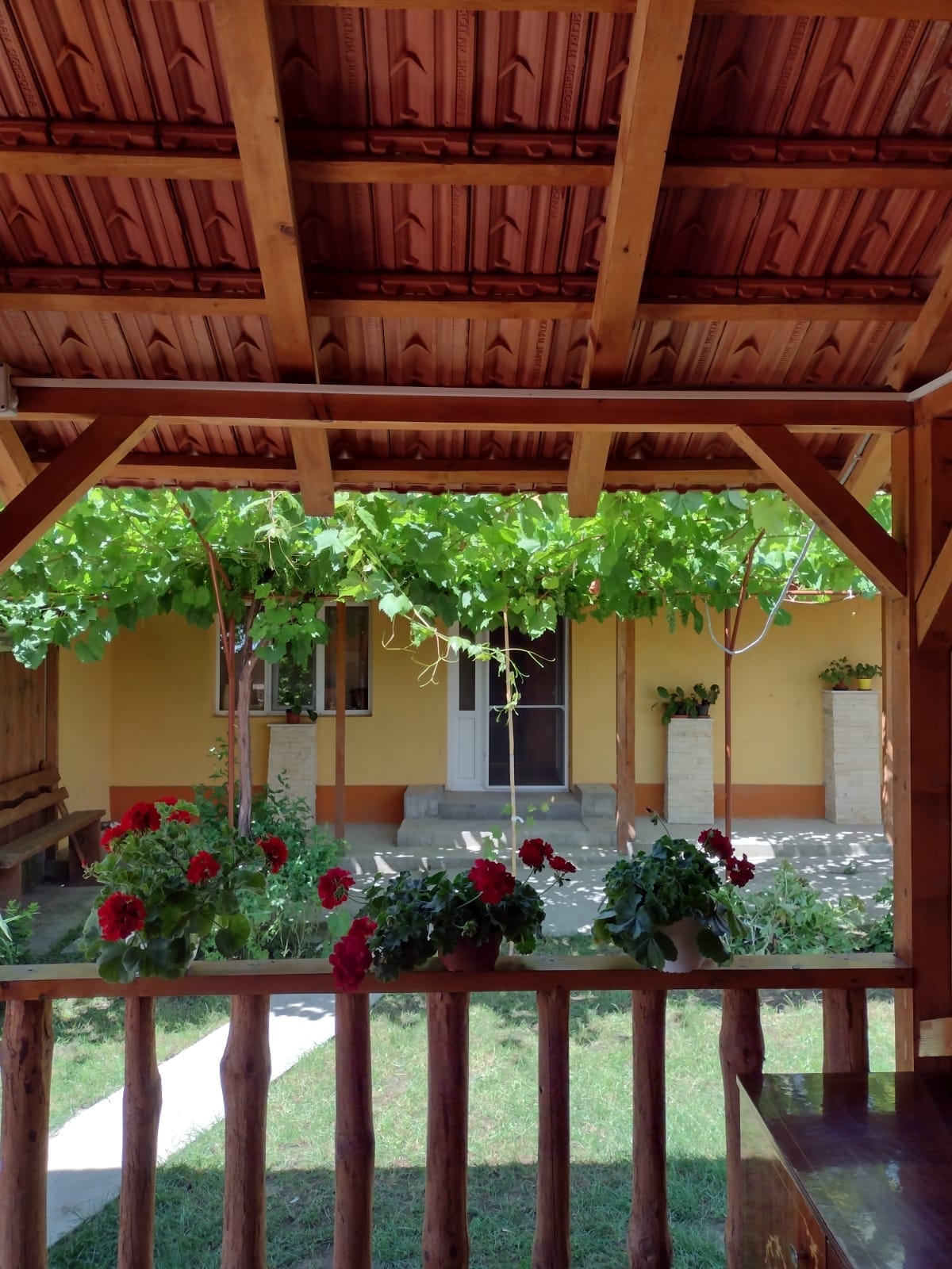 A wooden pavilion with a sloped roof provides shade over a garden area. Lush green vines hang above, while vibrant red flowers are placed along a wooden railing. A path leads to an entrance featuring a white door and light-colored walls.