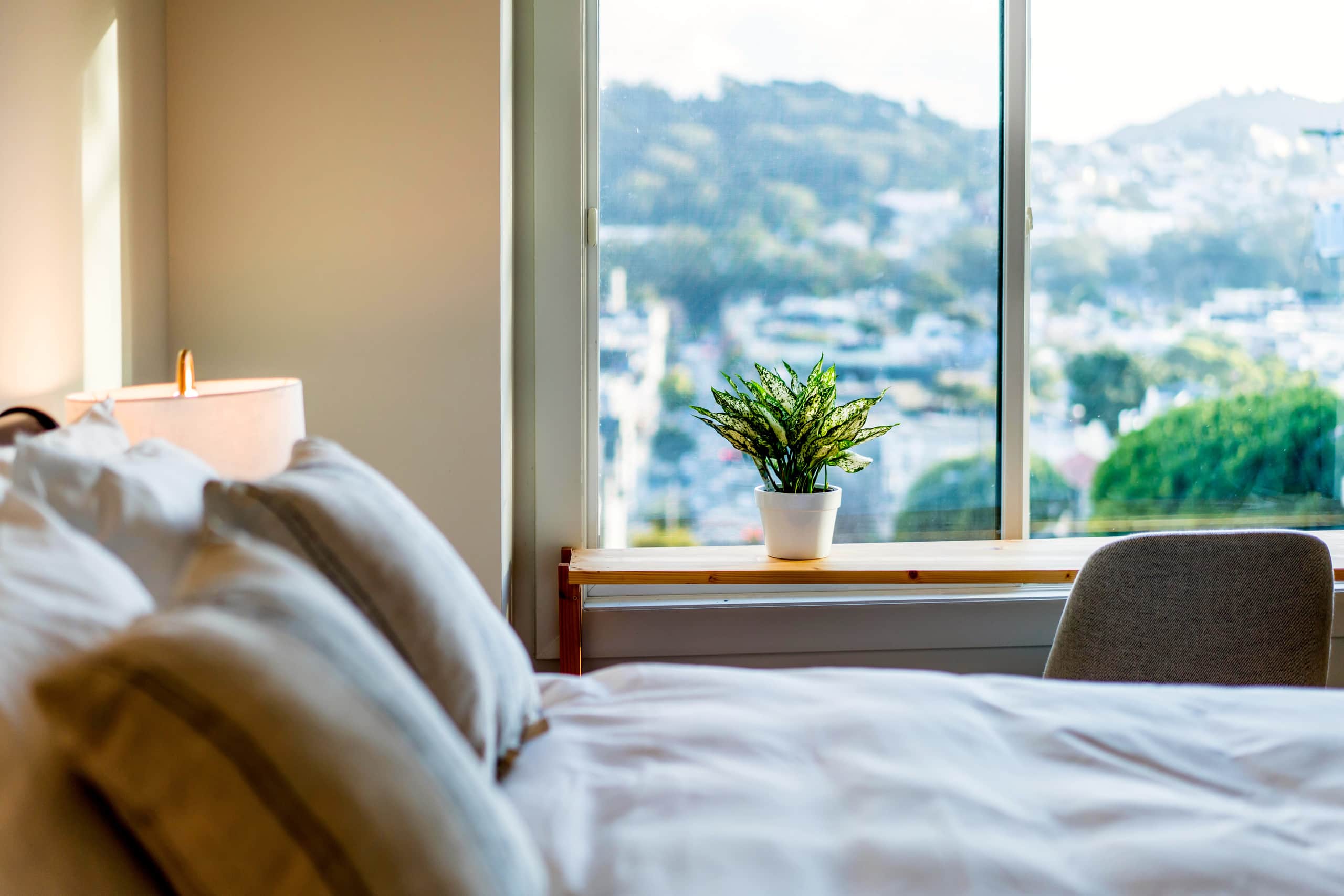 Home in San Francisco · ★4.98 · 3 bedrooms · 3 beds · 1 bath - Image 21