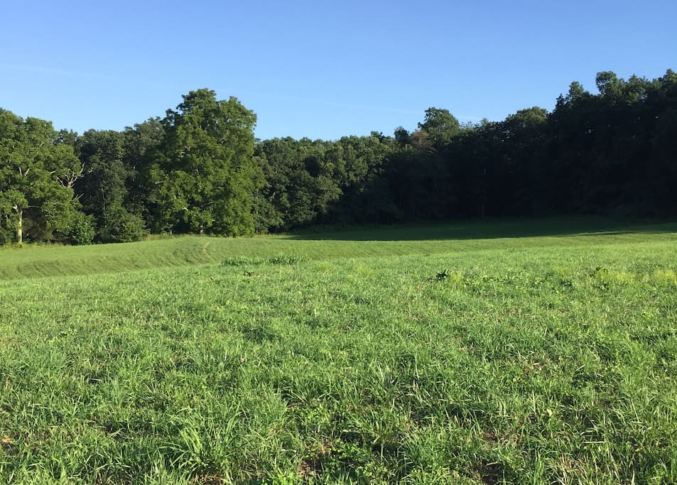 We use natural, organic farming methods. You won't be camping on a field sprayed with insecticides or other poisons