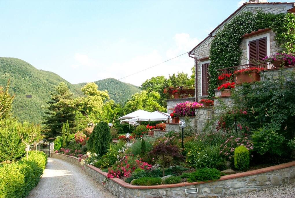Vialetto di Arrivo