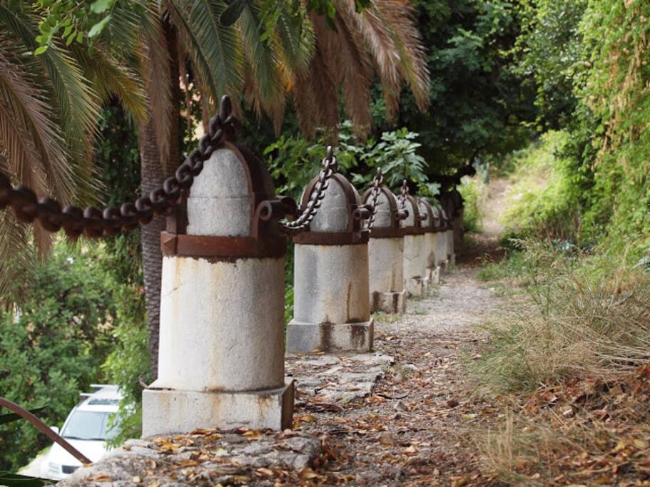Riviera Palace little path leading to the garden !