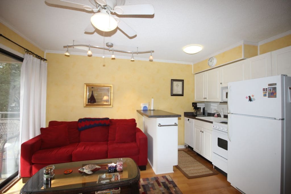 Couch,Furniture,Fridge,Refrigerator,Coffee Table