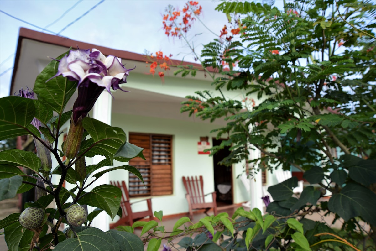 A charming house is positioned amidst lush greenery, displaying a vibrant flower in the foreground. The entrance is framed by wooden rocking chairs, with large windows adorned by wooden shutters providing a welcoming ambiance.