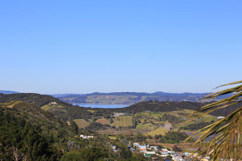 the view