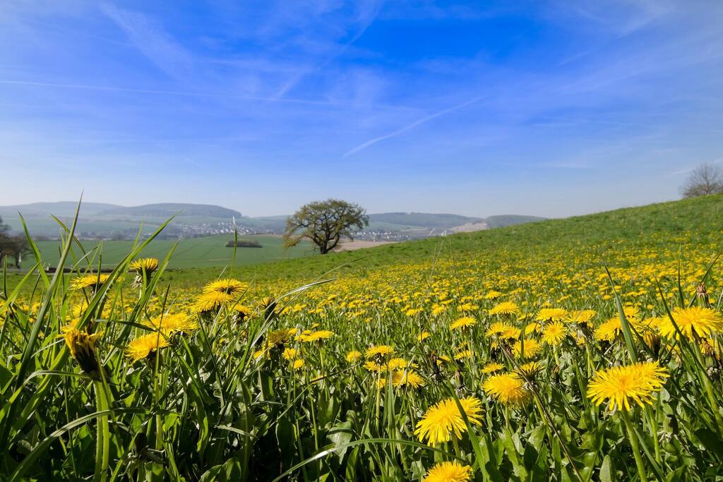 Landschaft
