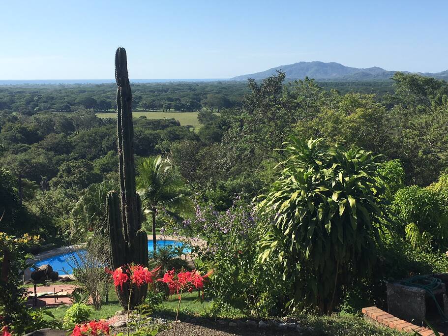Beautiful open ocean view from the house