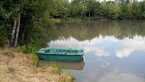 Loire chateaux and quiet forest and tranquility
