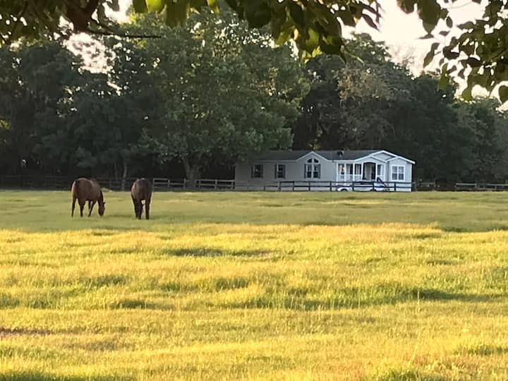 Anthony Holiday Rentals & Homes Florida, United States Airbnb