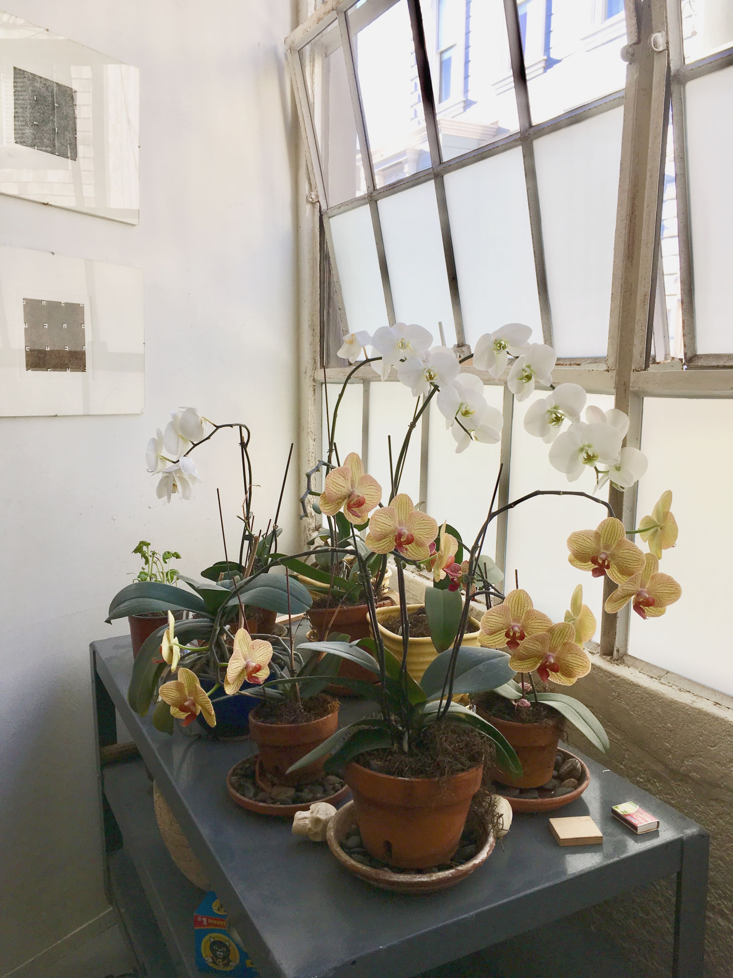 Private Light-filled Suite in Artist Loft - Image 17