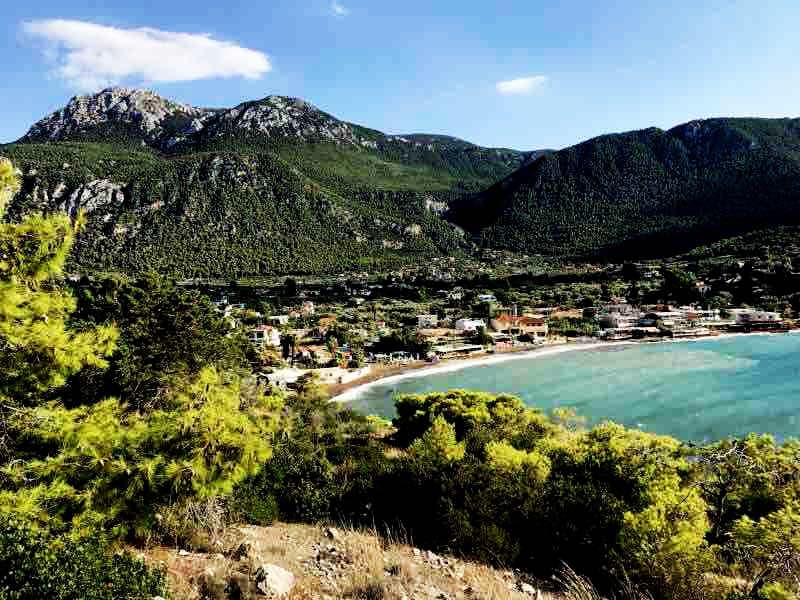 A scenic view captures a coastal village nestled between lush green mountains and a sandy beach. Gentle waves can be seen lapping at the shore, while the vibrant flora in the foreground adds a touch of natural beauty to the landscape.