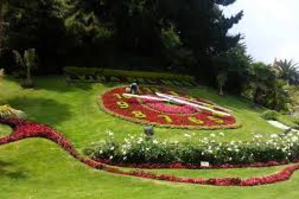 Passeio Valparaiso e Viña del Mar 20000 clp para airbnb única 15000clp comunidade, contacte-me e eu vou explicar...
Tour Valparaiso y Viña del mar 20000 clp para comunidad airbnb solo 15000clp, contactame y te explico...