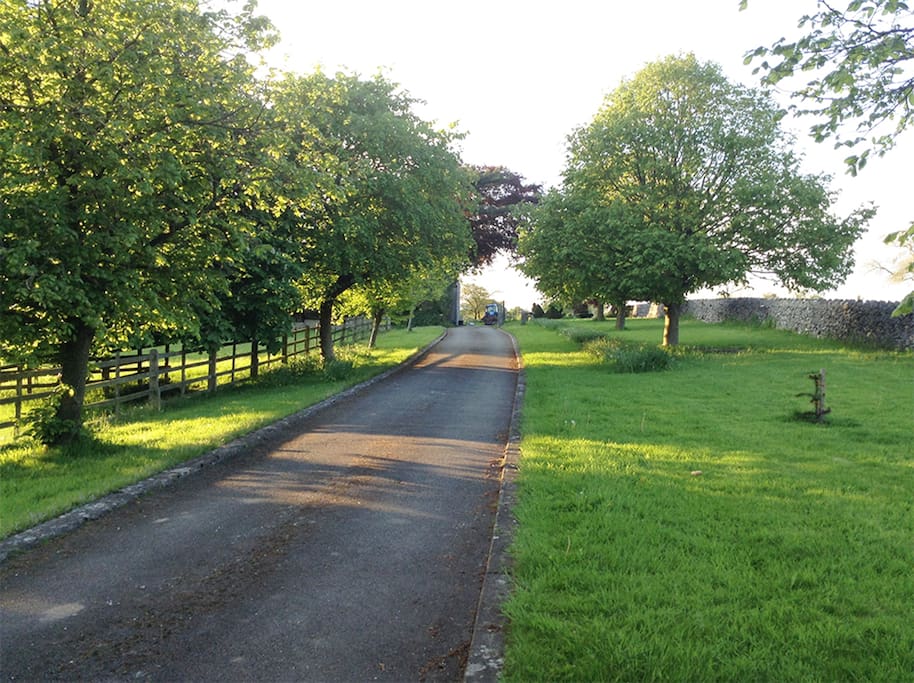 Driveway