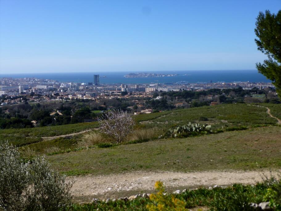 Les sentiers de balade partent dès la sortie du jardin vers le Massif de l'Etoile.