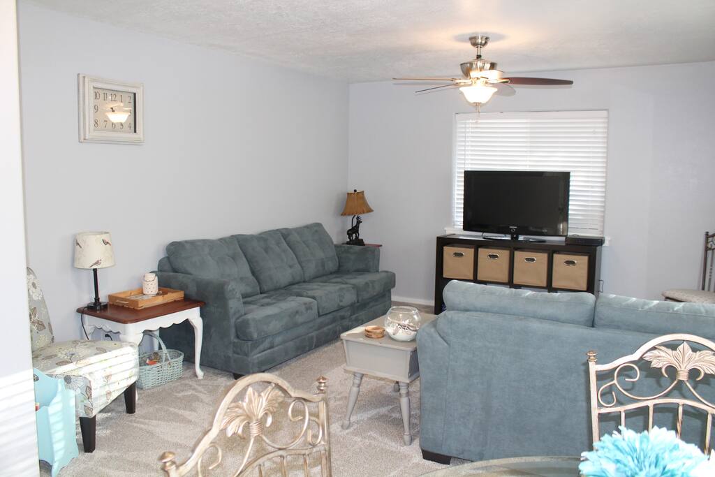 Living area with 2 couches