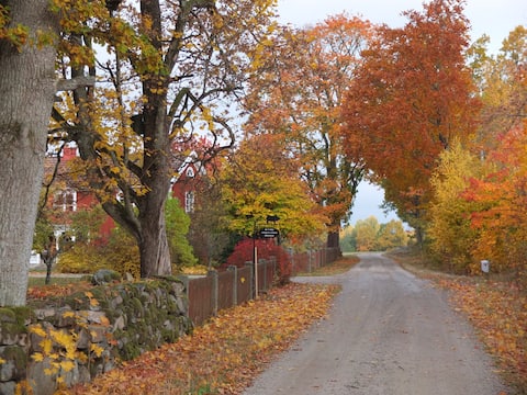 Lovely house in the countryside (lake & forest)