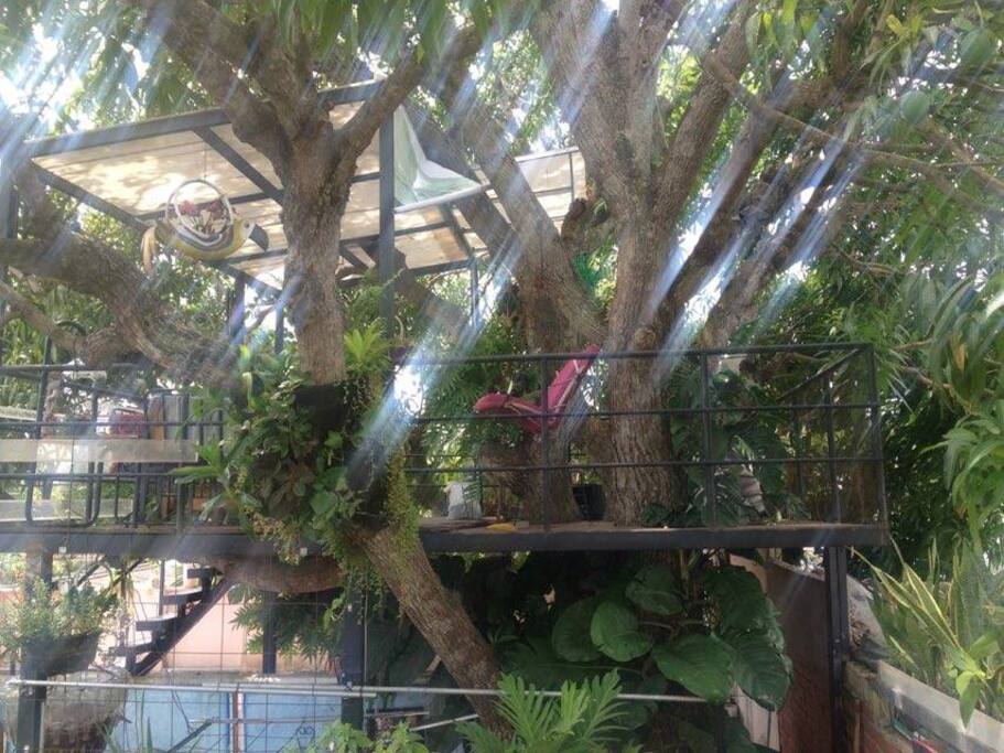 CASA EN EL ARBOL