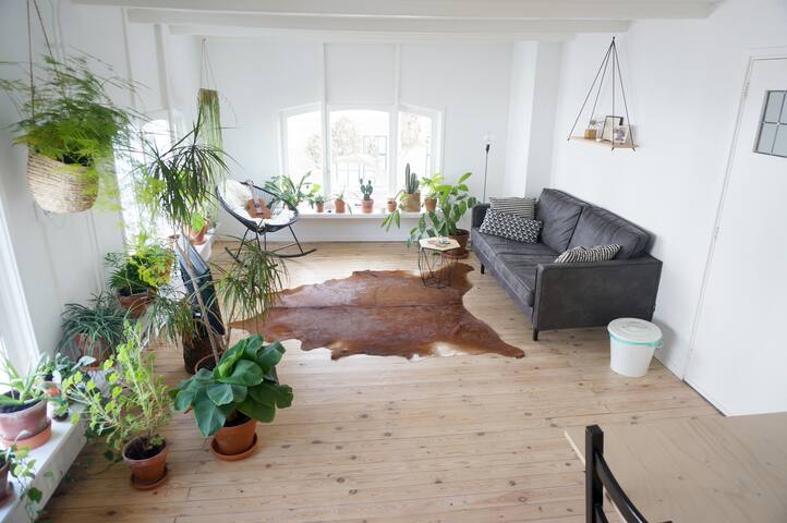 Cozy townhouse