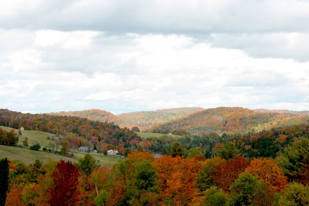 fall color in the local area