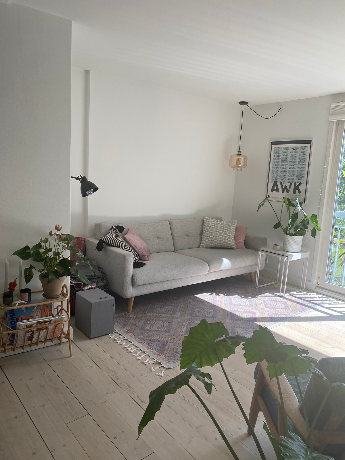 A bright living room features a light grey couch adorned with decorative pillows. A coffee table is positioned nearby, surrounded by lush indoor plants. Sunlight streams through a large window, highlighting the natural wood floor and a colorful area rug.