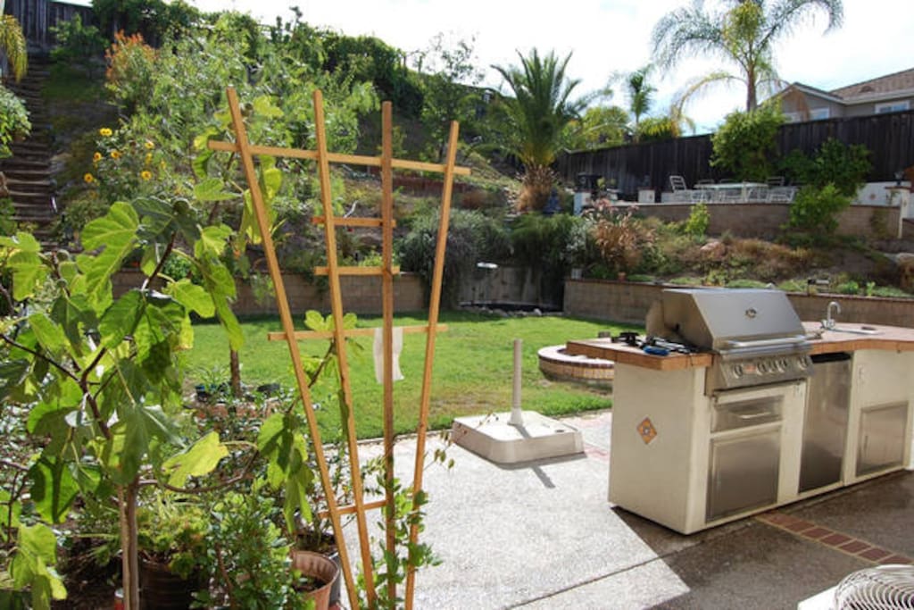 Beautiful Zen backyard with full propane Island B'que with built-in fridge.