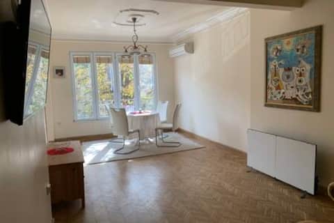 Top performing Airbnb: 👌Vitoshka Apartment - NDK beautiful park view in Център